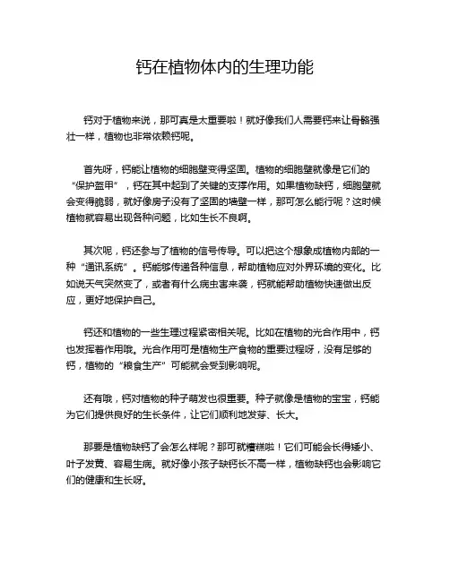 钙在植物体内的生理功能