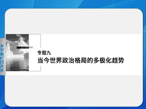 高一历史人民必修课件：专题九 学案 美苏争锋 含解析