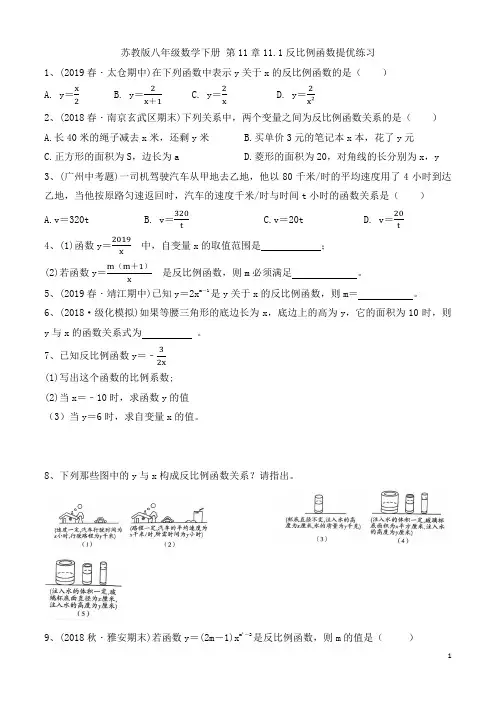 苏教版八年级数学下册 第11章11.1反比例函数提优练习
