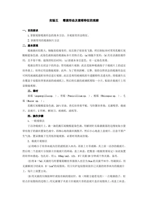 实验五   霉菌形态及菌落特征的观察