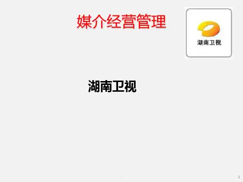 湖南卫视媒介定位PPT课件