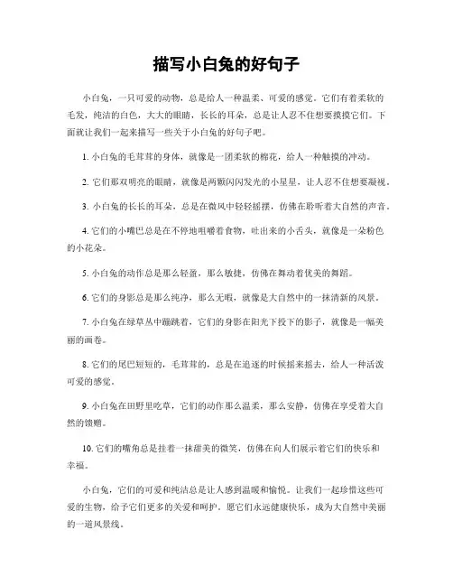 描写小白兔的好句子