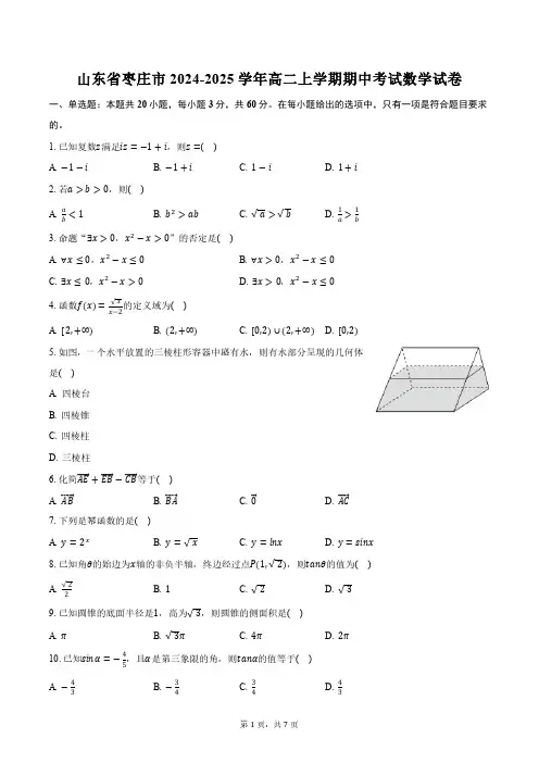 山东省枣庄市2024-2025学年高二上学期期中考试数学试卷(含答案)