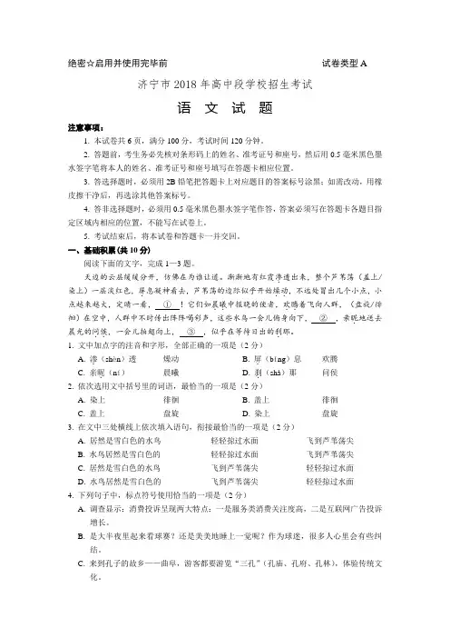 九年级下语文中考真题2018年山东省济宁市中考语文试题Word版含答案