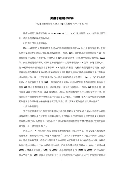 肿瘤干细胞与耐药