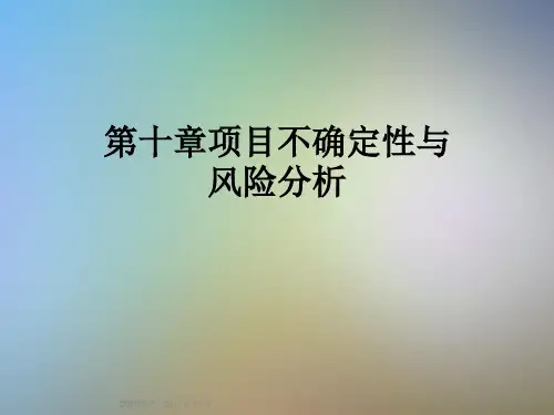 第十章项目不确定性与风险分析