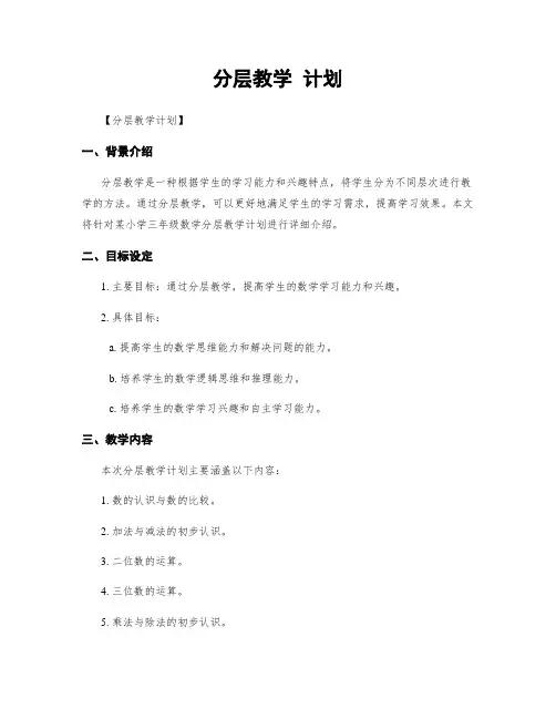 分层教学 计划