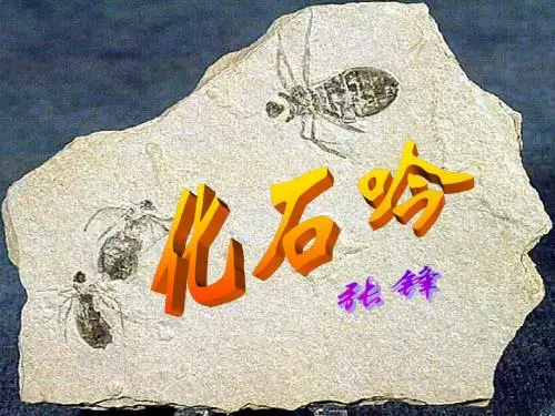 化石吟