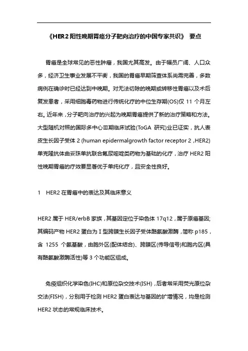 《HER2阳性晚期胃癌分子靶向治疗的中国专家共识》 要点