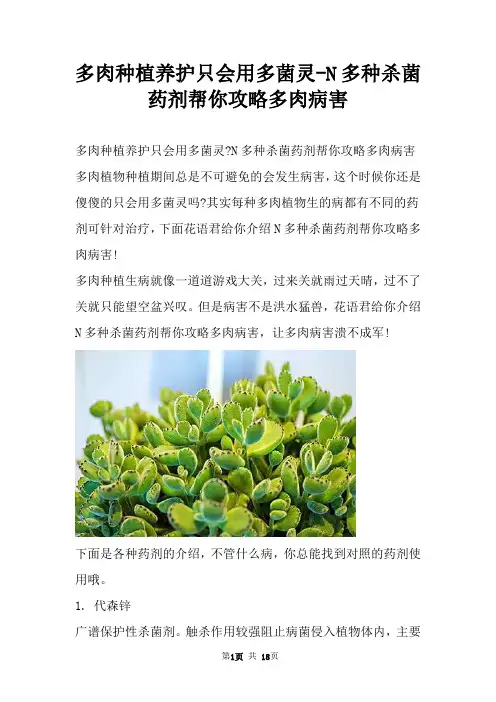 多肉种植养护只会用多菌灵N多种杀菌药剂帮你攻略多肉病害