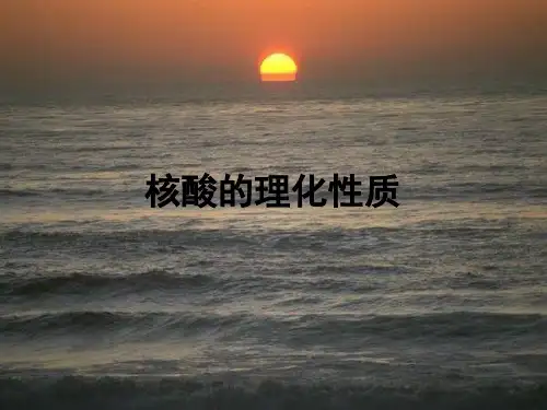 核酸的理化性质