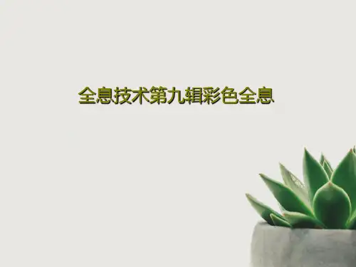 全息技术第九辑彩色全息PPT28页