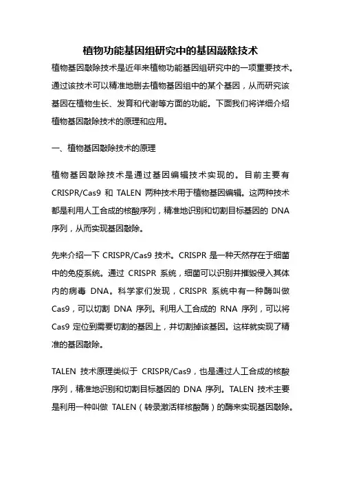 植物功能基因组研究中的基因敲除技术
