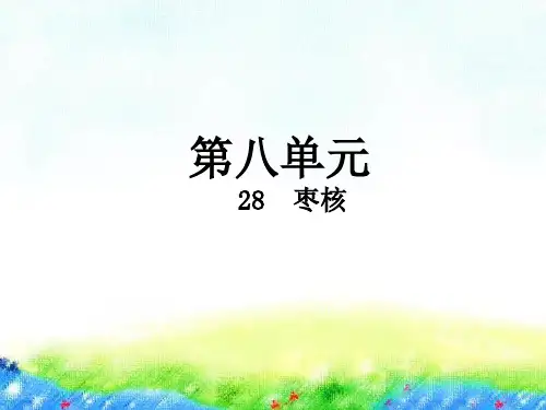 部编教材《枣核》ppt1
