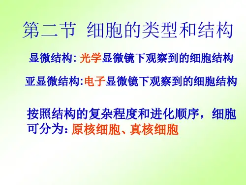 植物细胞亚显微结构模式图