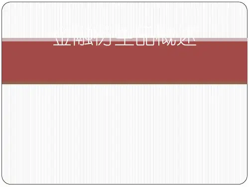 金融衍生品概述(ppt 75页)