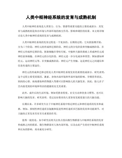 人类中枢神经系统的发育与成熟机制