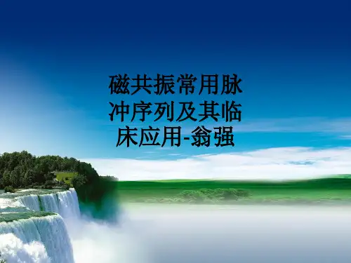 [医学]磁共振常用脉冲序列及其临床应用-翁强