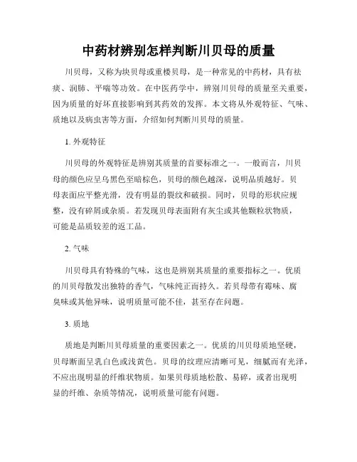 中药材辨别怎样判断川贝母的质量