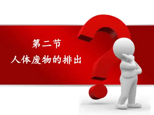 苏教版生物七下11.2《人体废物的排出》课件(共30张PPT)