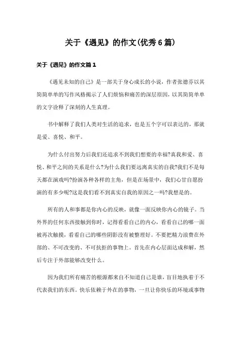 关于《遇见》的作文(优秀6篇)
