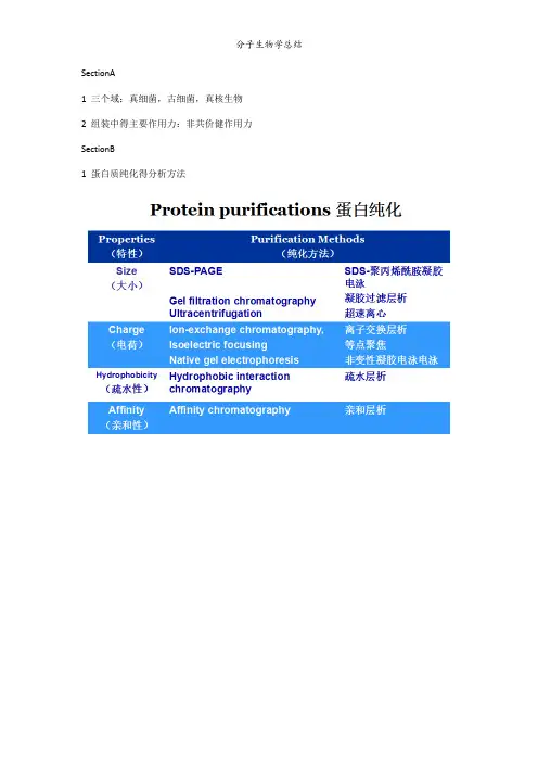 分子生物学总结