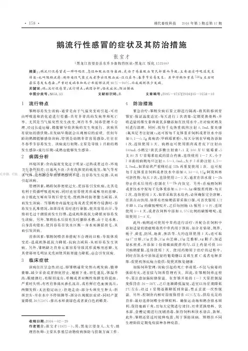 鹅流行性感冒的症状及其防治措施