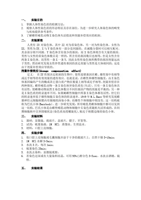 巴氏小体染色观察
