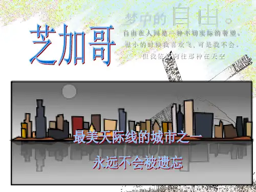 城市设计芝加哥