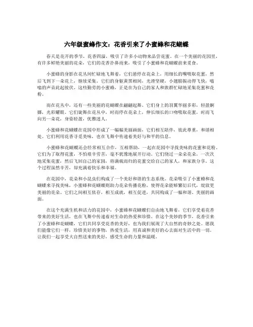 六年级蜜蜂作文：花香引来了小蜜蜂和花蝴蝶