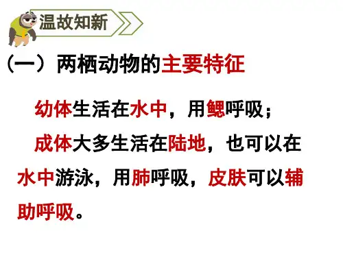 第六节鸟课件2021-2022 学年人教版生物八年级上册
