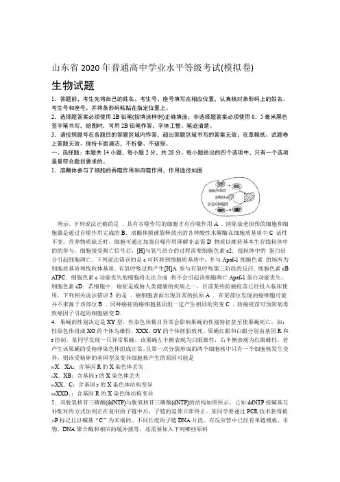 2020山东省新高考统一考试生物模拟卷