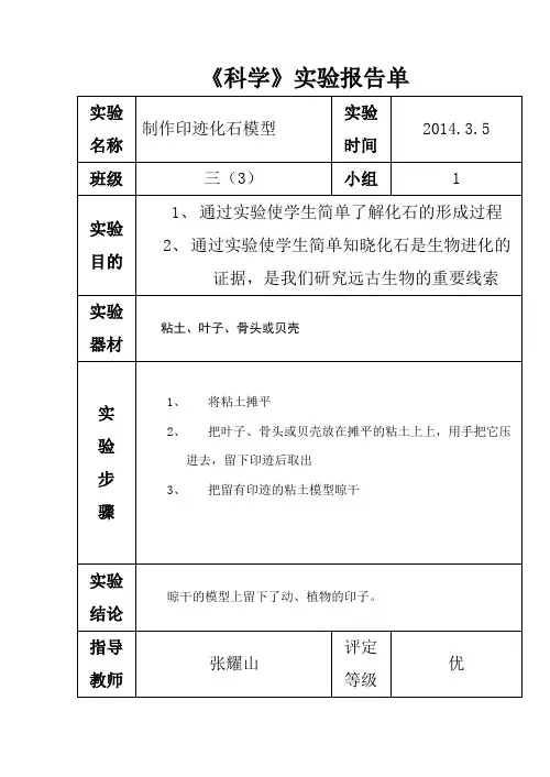 苏教版六年级下册科学实验报告单(同名9784)