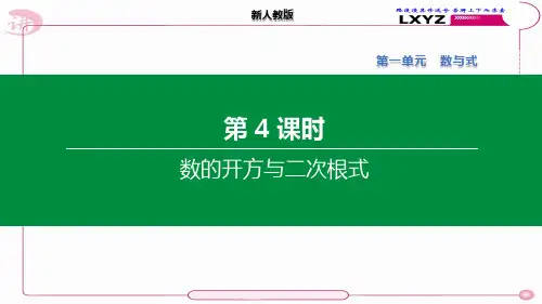 新人教初中数学中考复习数的开方与二次根式【精品】