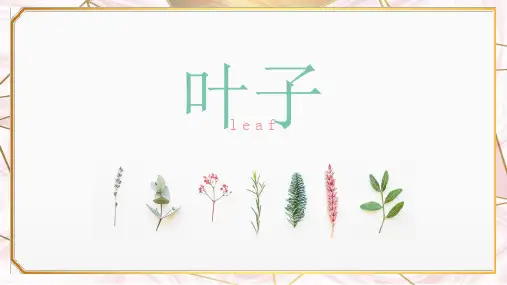 创意淡雅清新叶子PPT模板