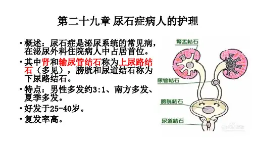 尿石症病人的护理