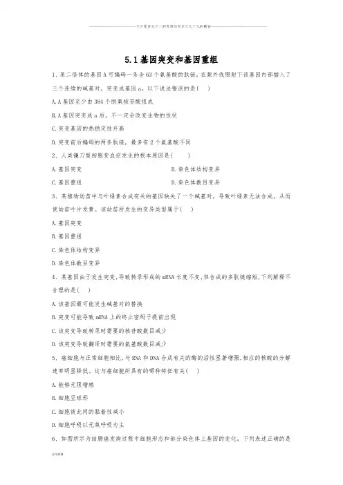 高中生物人教版 必修二随堂练习：第5章5.1基因突变和基因重组