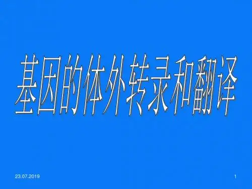 基因的体外转录和翻译 共47页