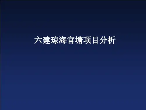 海南项目分析 ppt课件