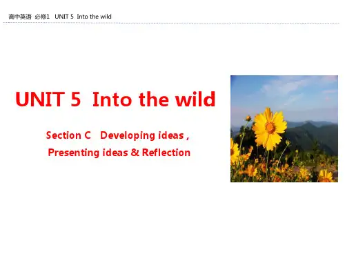 外研版版高中英语必修一UNIT 5  Into the wild Section C(1)