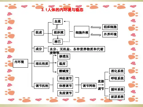 高中生物必修三知识框架图