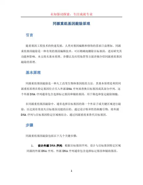 同源重组基因敲除原理