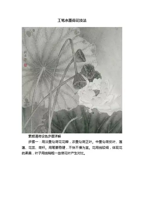 工笔水墨荷花技法