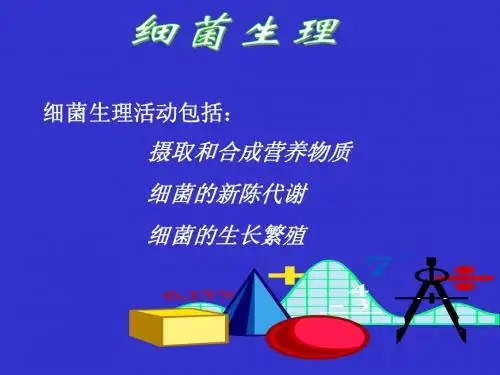 细菌的生理