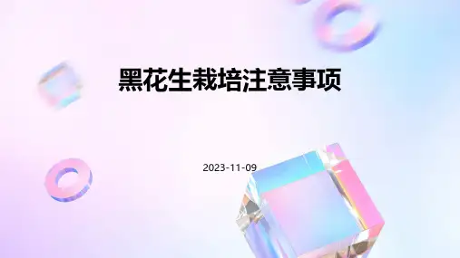 黑花生栽培注意事项