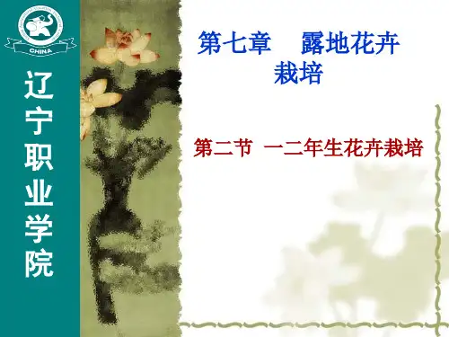 花卉生产学-第七章 露地花卉栽培(第二节 一二年生花卉栽培)