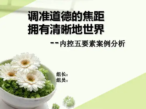 内部控制五要素