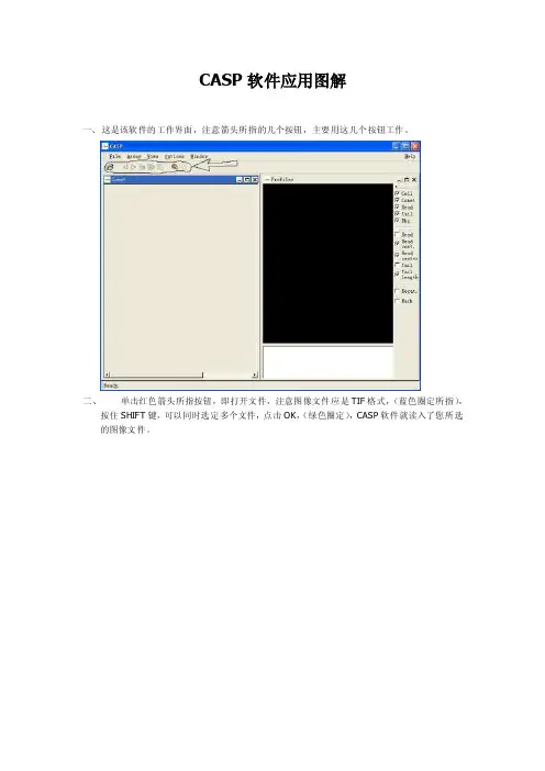 CASP软件操作图示（彗星分析软件）