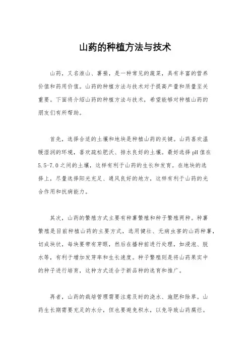 山药的种植方法与技术