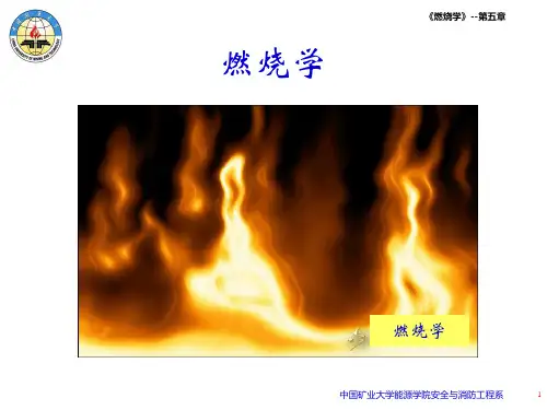 燃烧学—第3章作业